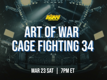 Art of War 34